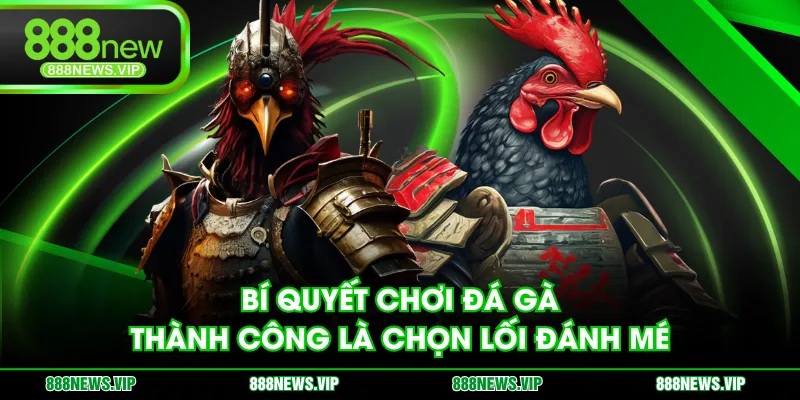 Bí quyết chơi đá gà thành công là chọn lối đánh mé