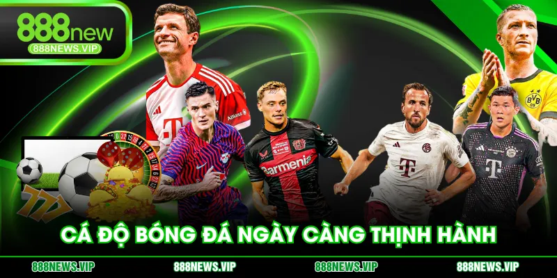 Cá độ bóng đá ngày càng thịnh hành