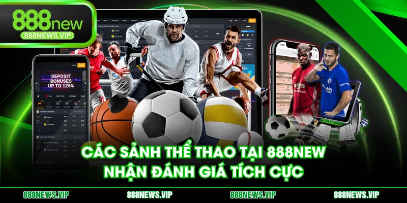 Các sảnh thể thao tại 888NEW nhận đánh giá tích cực