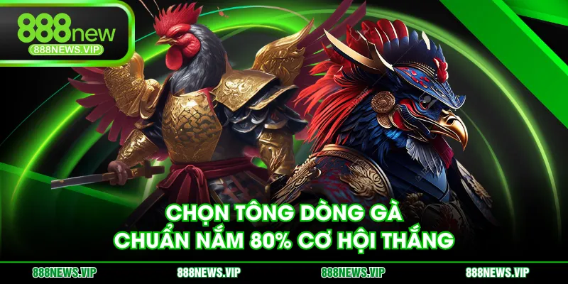 Chọn tông dòng gà chuẩn nắm 80% cơ hội thắng