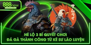bí quyết chơi đá gà thành công