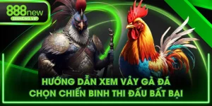 Xem vảy gà đá