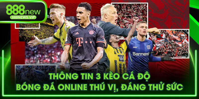 Cá độ bóng đá
