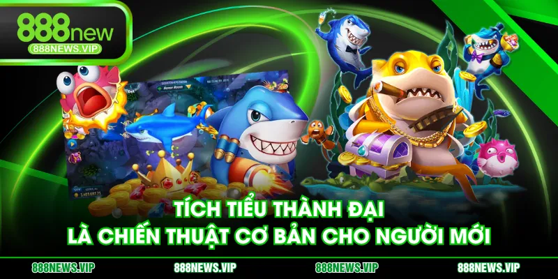 Tích tiểu thành đại là chiến thuật cơ bản cho người mới