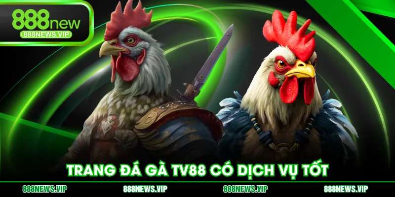 Trang đá gà TV88 có dịch vụ tốt