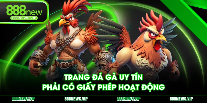 Trang đá gà uy tín phải có giấy phép hoạt động