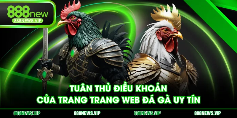 Tuân thủ điều khoản của trang trang web đá gà uy tín