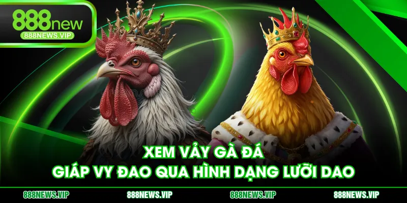 Xem vảy gà đá Giáp Vy Đao qua hình dạng lưỡi dao