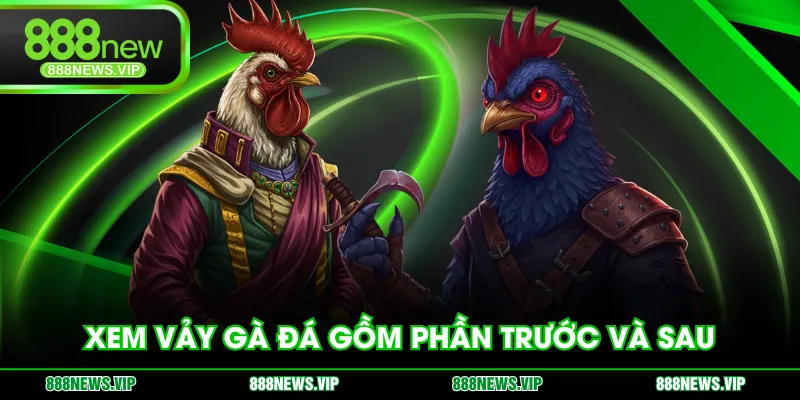 Xem vảy gà đá gồm phần trước và sau